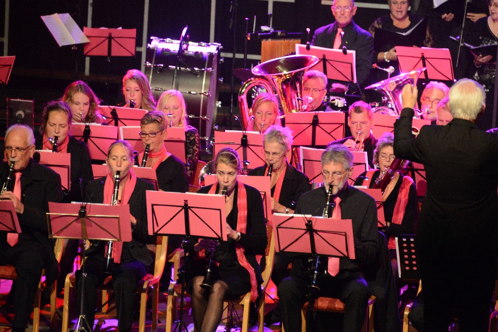 ../Images/Jubileumconcert 100 jaar Harpe Davids 114.jpg